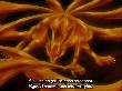 Naruto 086(27).jpg